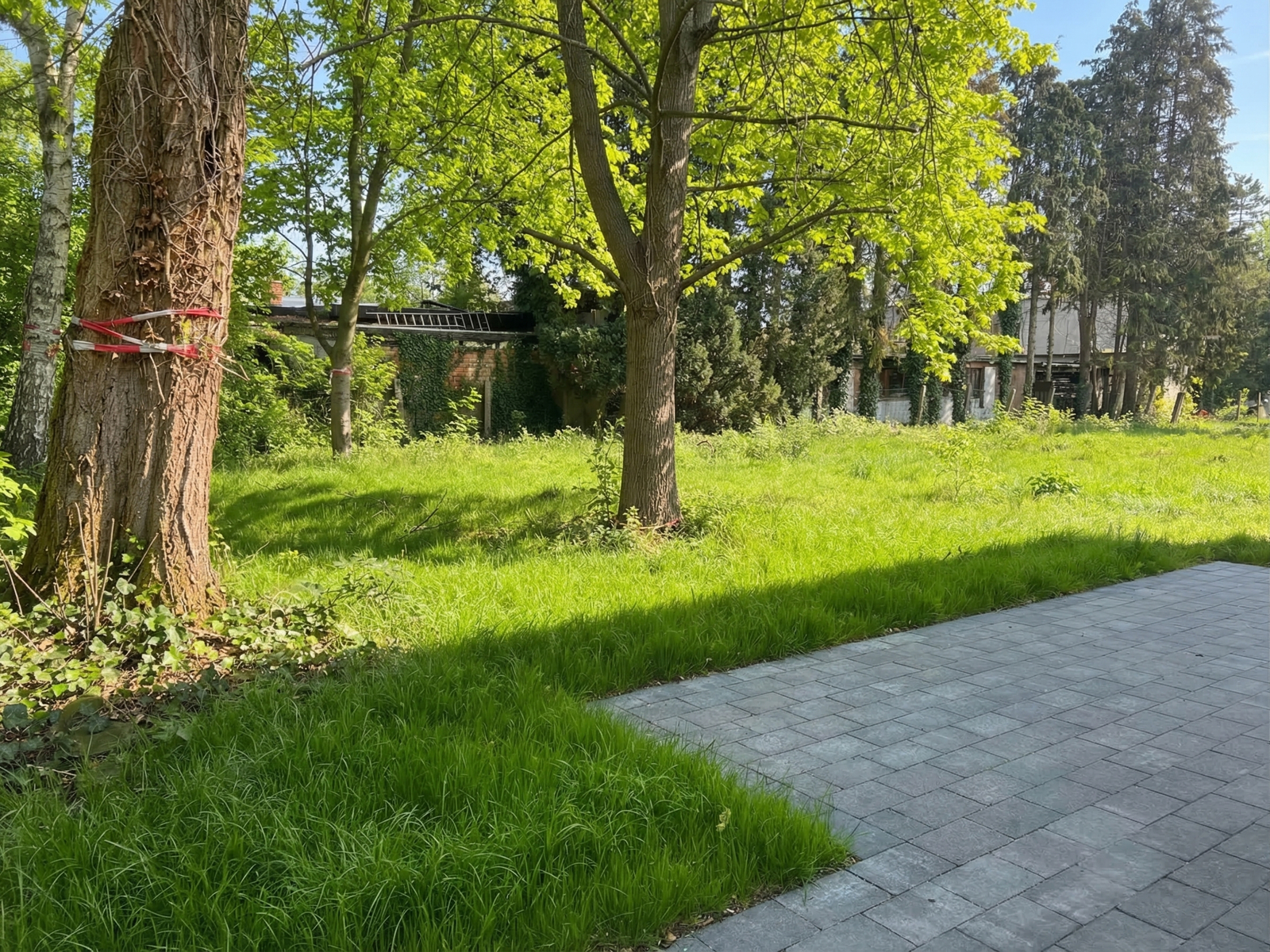 Stijlvolle nieuwbouwwoning te Kapellen1 - foto 5