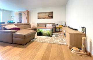 Apartment for rent in Duffel