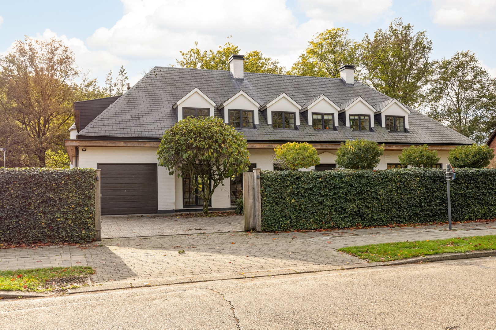 RUIME EXCLUSIEVE VILLA GELEGEN IN DE SCHADUW VAN HET PEERDSBOS - foto 4