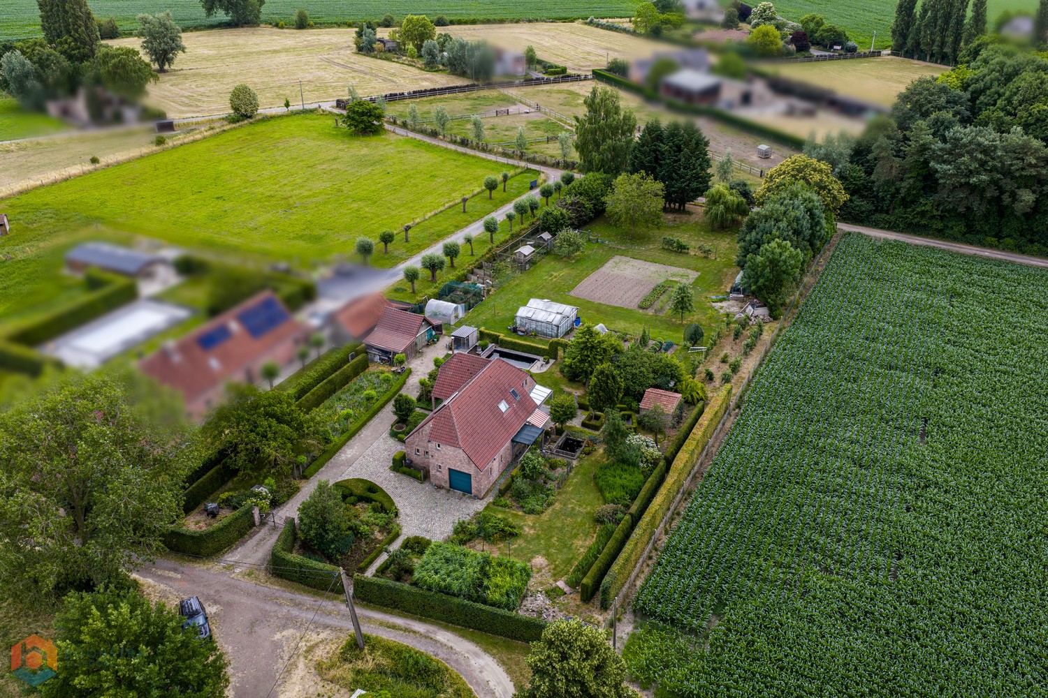 Hoeve op een ruim perceel van 5307 m² in prachtige groene omgeving - foto 1