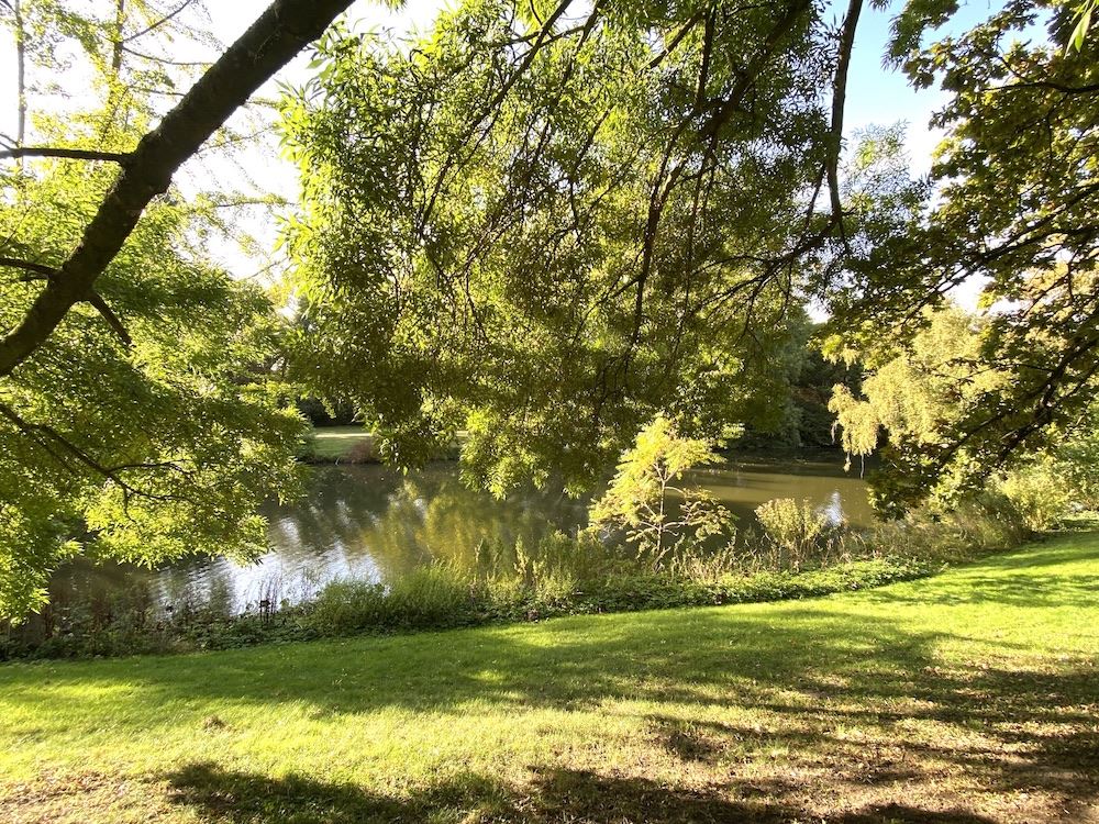 Appartement à vendre à Bruges avec 2 chambres - photo 5