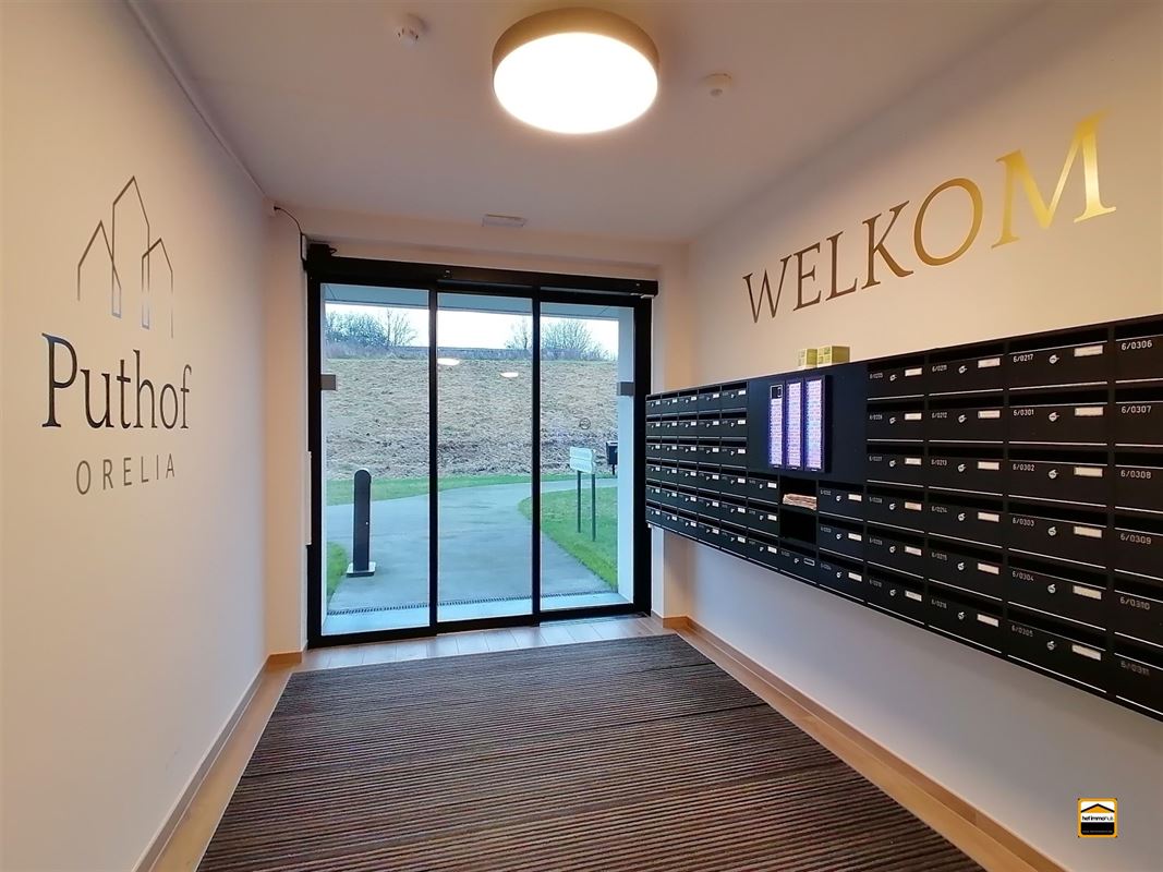 Apartment for rent in Tongeren-Borgloon with 1 bedroom - photo 3