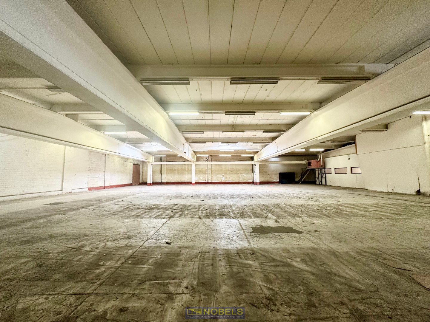 Te huur ruim, industrieel magazijn gelegen te Ronse - foto 3