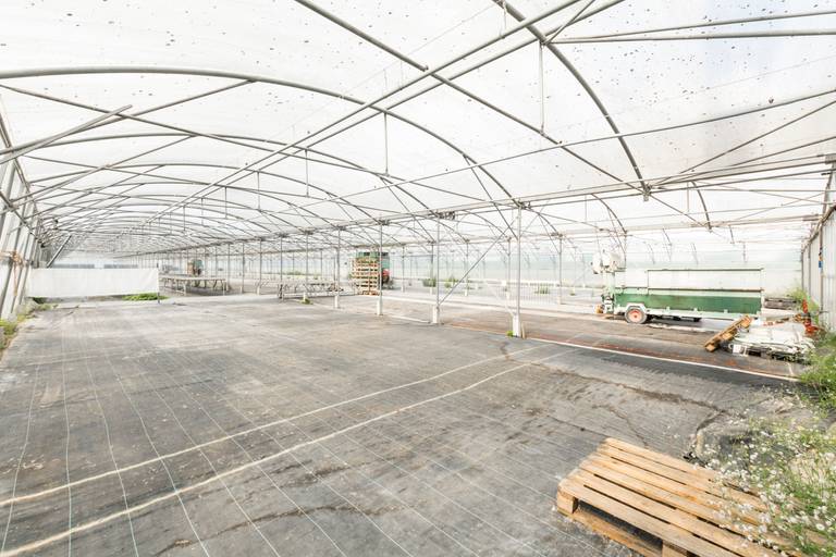 Welgelegen serrecomplex, ideaal voor agrarische activiteiten - foto 19