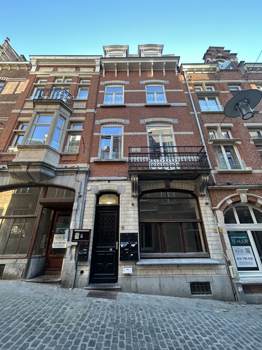 Ruime kamer privatief sanitair Leuven - foto 2