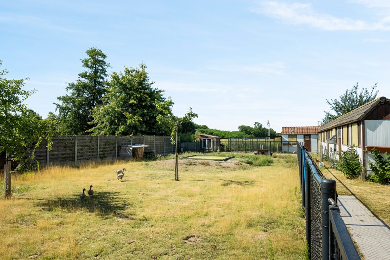 Bouwgrond van 653m2 voor halfopen bebouwing te Sint-Eloois-Winkel, een unieke kans om uw droomwoning te realiseren - foto 3