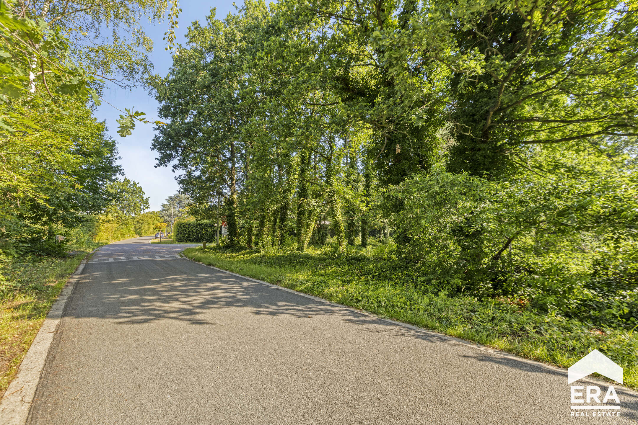 Prachtige bouwgrond (1.266m²) te koop in Lommel - foto 5