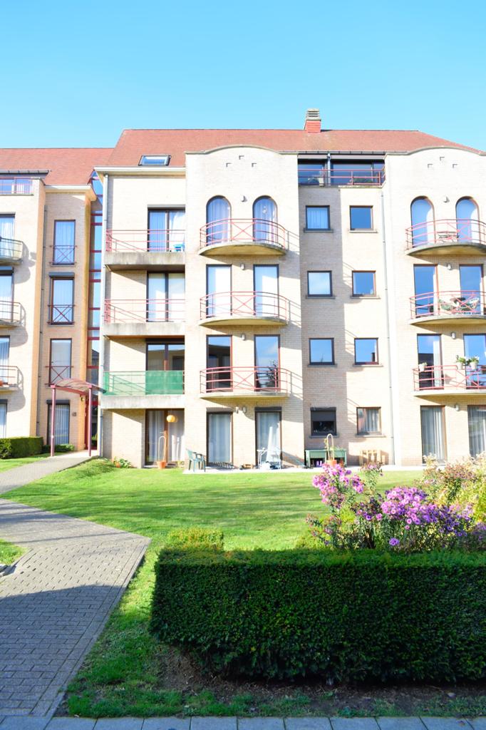 Apartment for rent in Berchem-Sainte-Agathe with 1 bedroom - photo 2