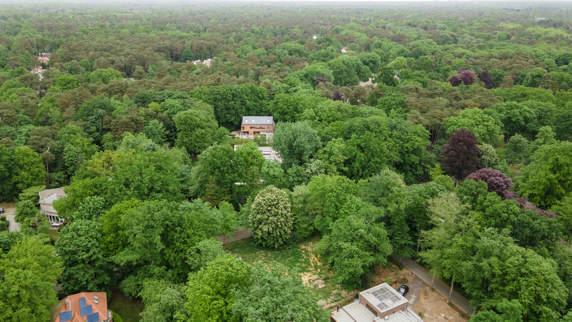 Bouwgrond van 2076 m² op topligging - foto 5