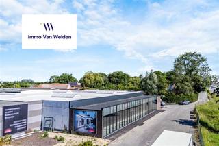 Strategisch gelegen langs de druk bereden N60 bevindt zich deze uitzonderlijke showroom-/bedrijfsruimte van circa1440 m² ( met de overdekte ruimte is de totale ruimte 1680 m²). Dankzij de prominente ligging en de indrukwekkende volledig beglaasde voorgevel geniet het pand van een uitstekende zichtbaarheid en een sterke commerciële uitstraling.De ruimte omvat een grote open vloerplaat met overvloedige natuurlijke lichtinval via de glaspartijen en lichtstraten, waardoor diverse invullingen mogelijk zijn. Ideaal voor showroomactiviteiten, groothandel, professionele dienstverlening, kantoor met opslag, ambachtelijke activiteiten en andere bedrijfsdoeleinden.Het gebouw beschikt over een gevelbreedte van ongeveer 40 meter, ruime toegangsmogelijkheden en voldoende parkeergelegenheid op eigen terrein. De vlotte verbinding naar Oudenaarde, Ronse, Gent en de E17 vormt een belangrijke troef voor zowel klanten als medewerkers.Bijkomende troef is de mogelijkheid om het gebouw op te delen in meerdere kleinere units. Hierdoor biedt het pand maximale flexibiliteit voor zowel één gebruiker als meerdere gebruikers.