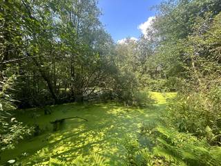 Gelegen te Schrans in Geel bevindt zich dit prachtige perceel. Dankzij deze ligging genieten we hier van een rustige en groene omgeving met toch...