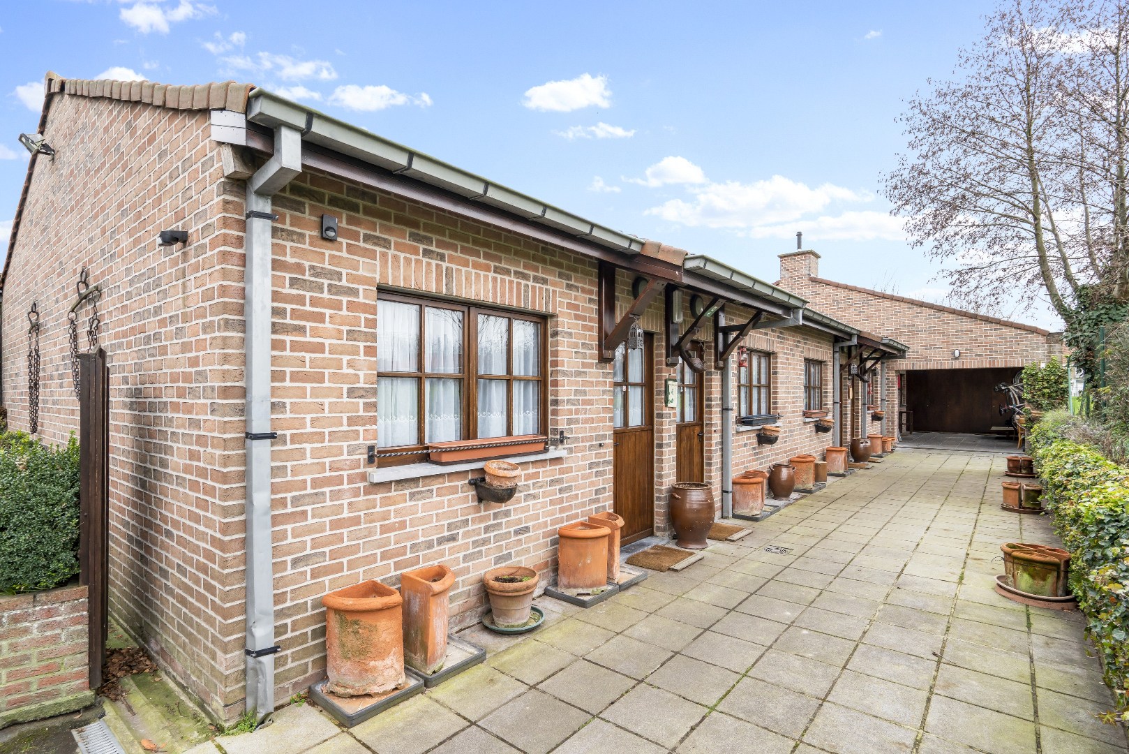 handelspand en vrij café 'Hotel Elckerlyck' met 6 kamers - foto 2