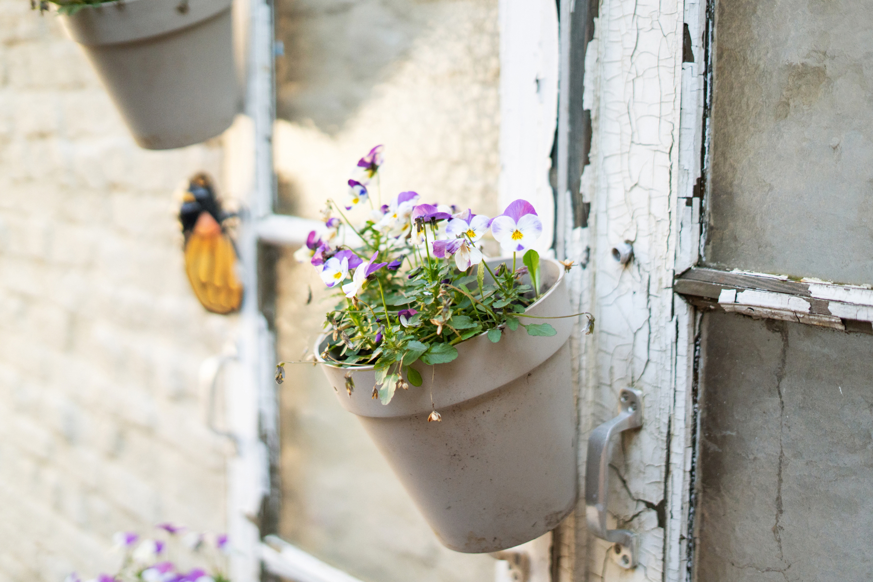 Appartement à vendre à Merelbeke-Melle avec 2 chambres - photo 5