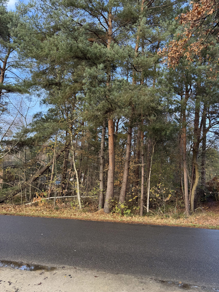 Ruime bouwgrond te koop in Balen-Wezel: ca. 3513 m² op rustige locatie - foto 3