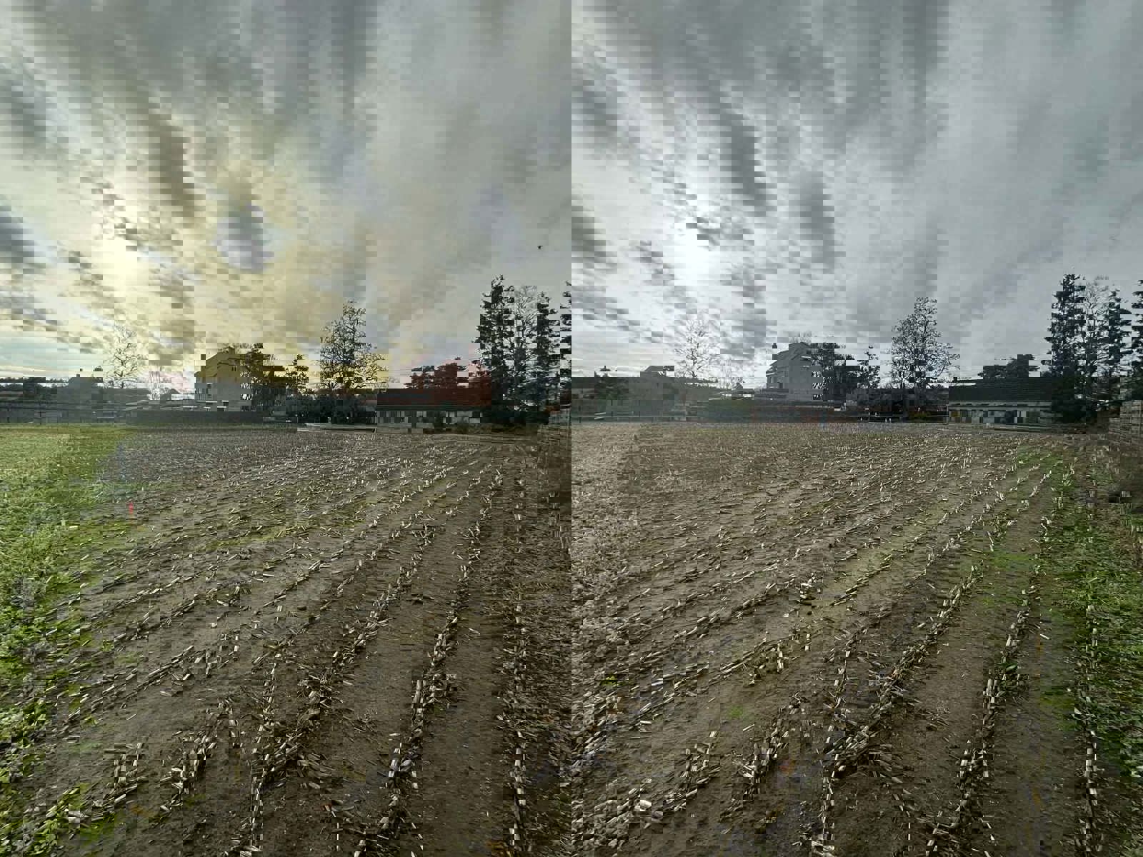 Land for sale in Westerlo - photo 4