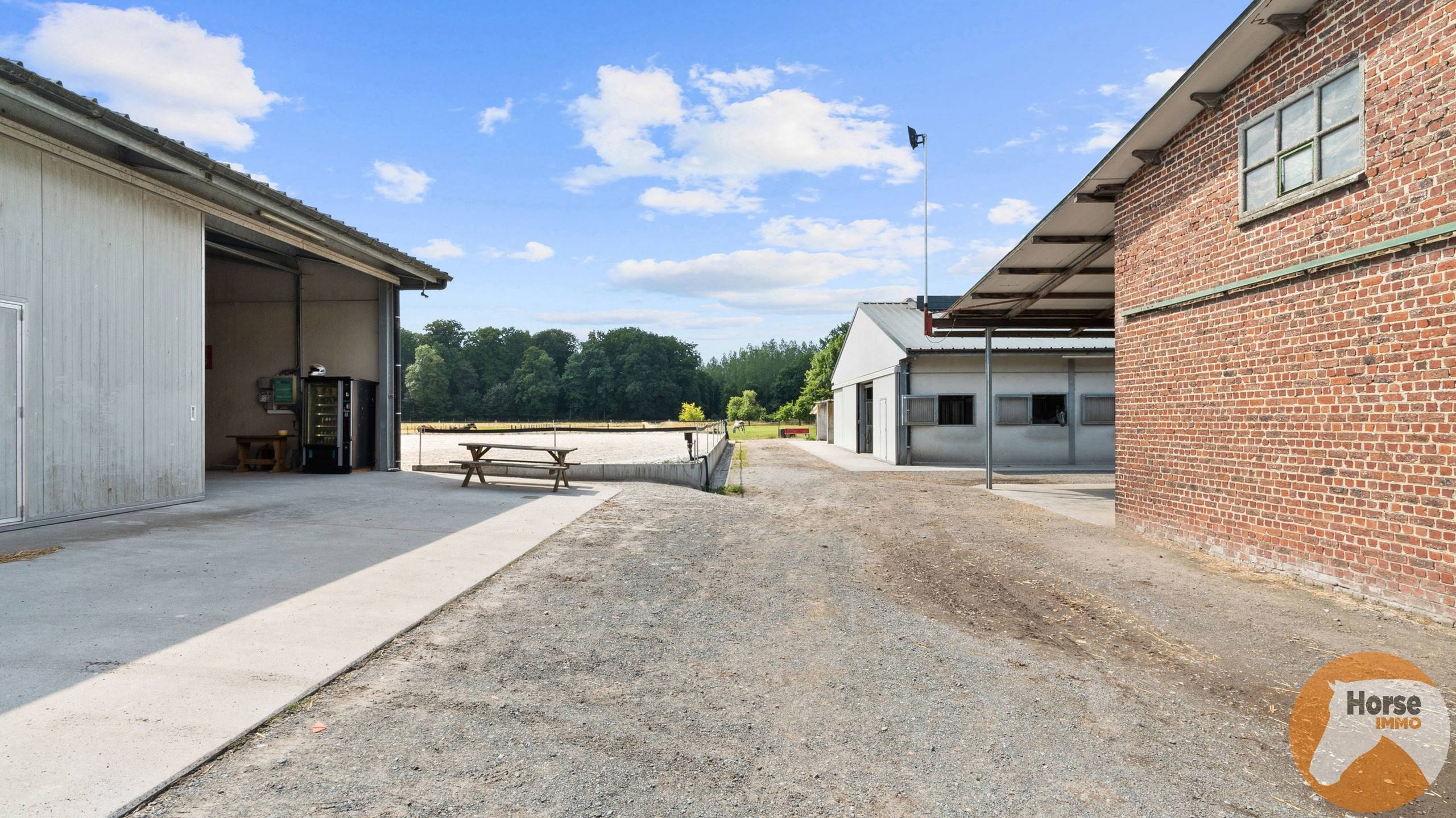 DILBEEK - Unieke paardeninfrastructuur op +-5,6ha - foto 3