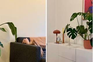 Prachtig, bemeubeld appartement met terras in zalige buurtVlak bij het zalige Te Boelaerpark en het Boekenbergpark, in een al even zalige, rustige...