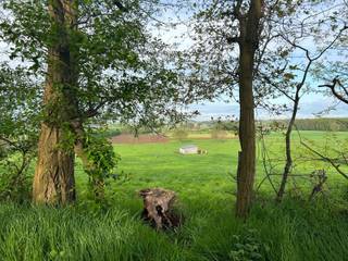 Terrain à vendre à Bekkevoort