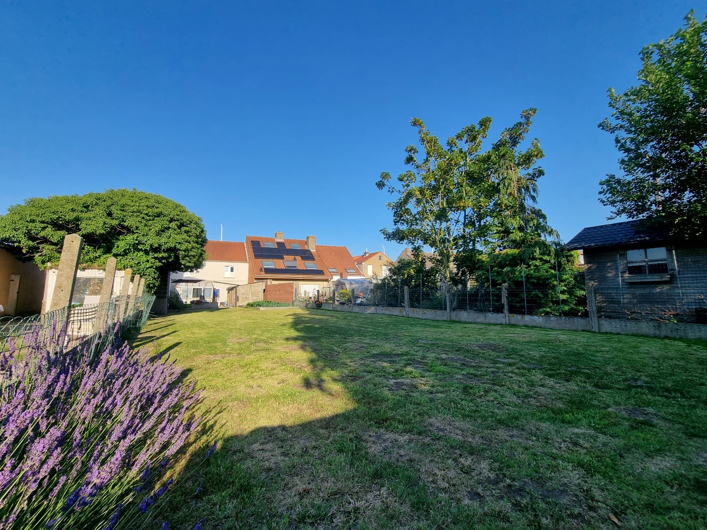 Te renoveren woning met mooie gevelbreedte (8 m) in het landelijke Lissewege - foto 1