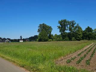 Landbouwgrond op gunstige locatie omgeving Gerhagen in Tessenderlo-Ham.De grond is gelegen in Everslag, omgeven door agrarisch- en groengebied.U...