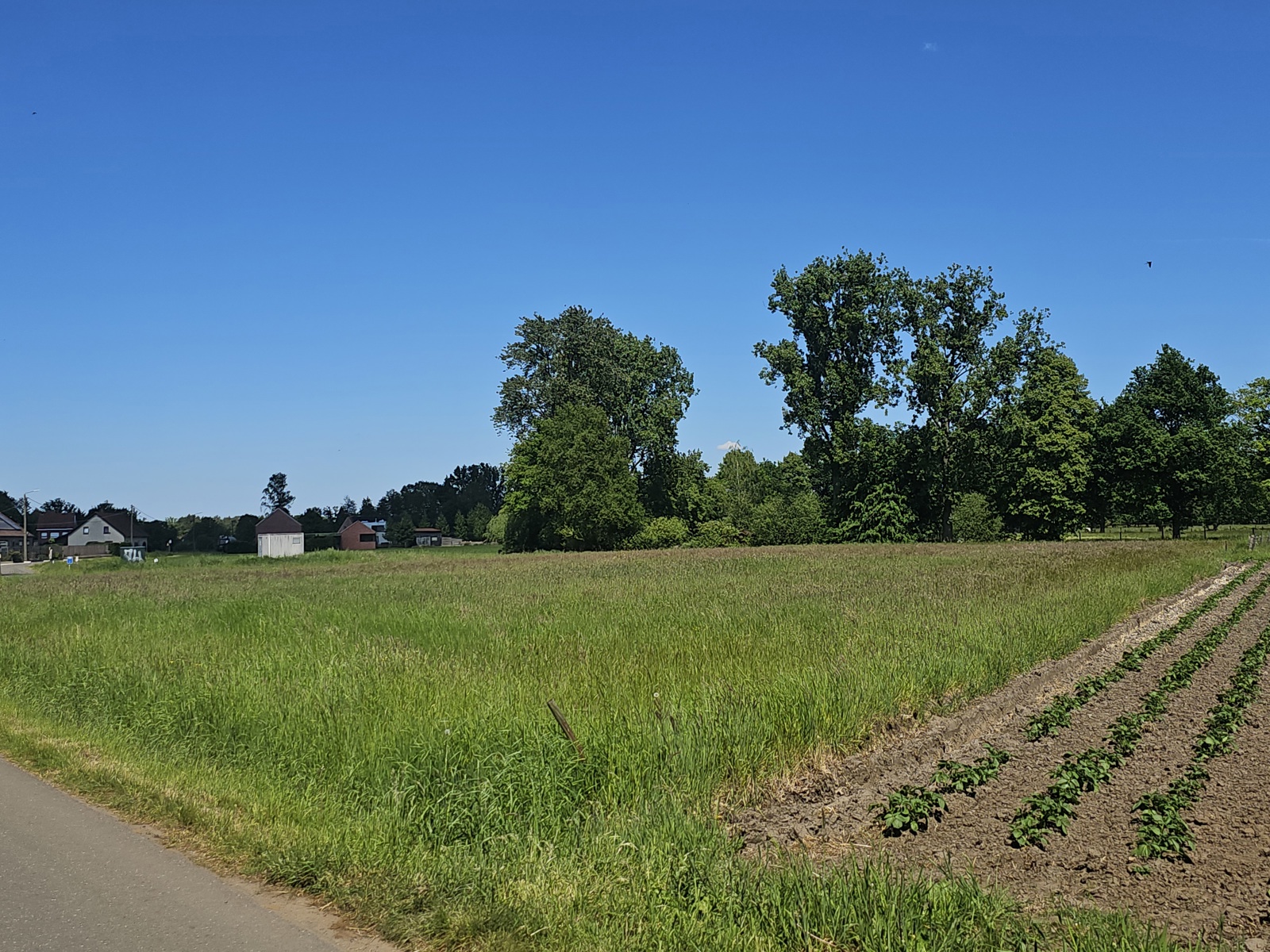 Landbouwgrond van 59a40ca. - foto 3