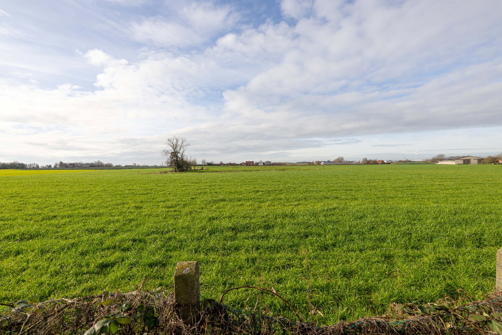 VERDER TE RENOVEREN GEZINSWONING OP PRACHTIG PERCEEL GROND 1.059 m² - foto 5