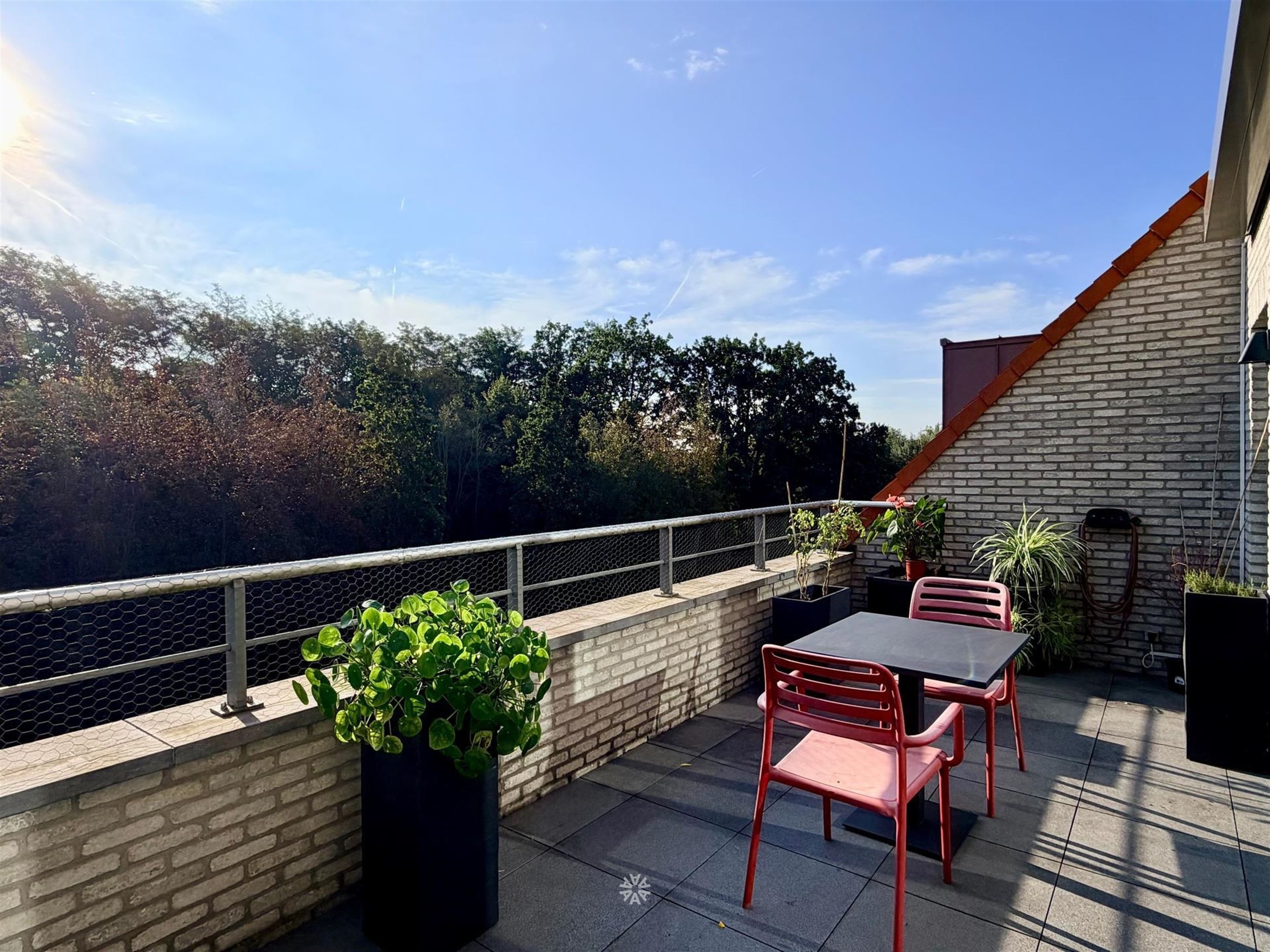 Appartement - photo 5