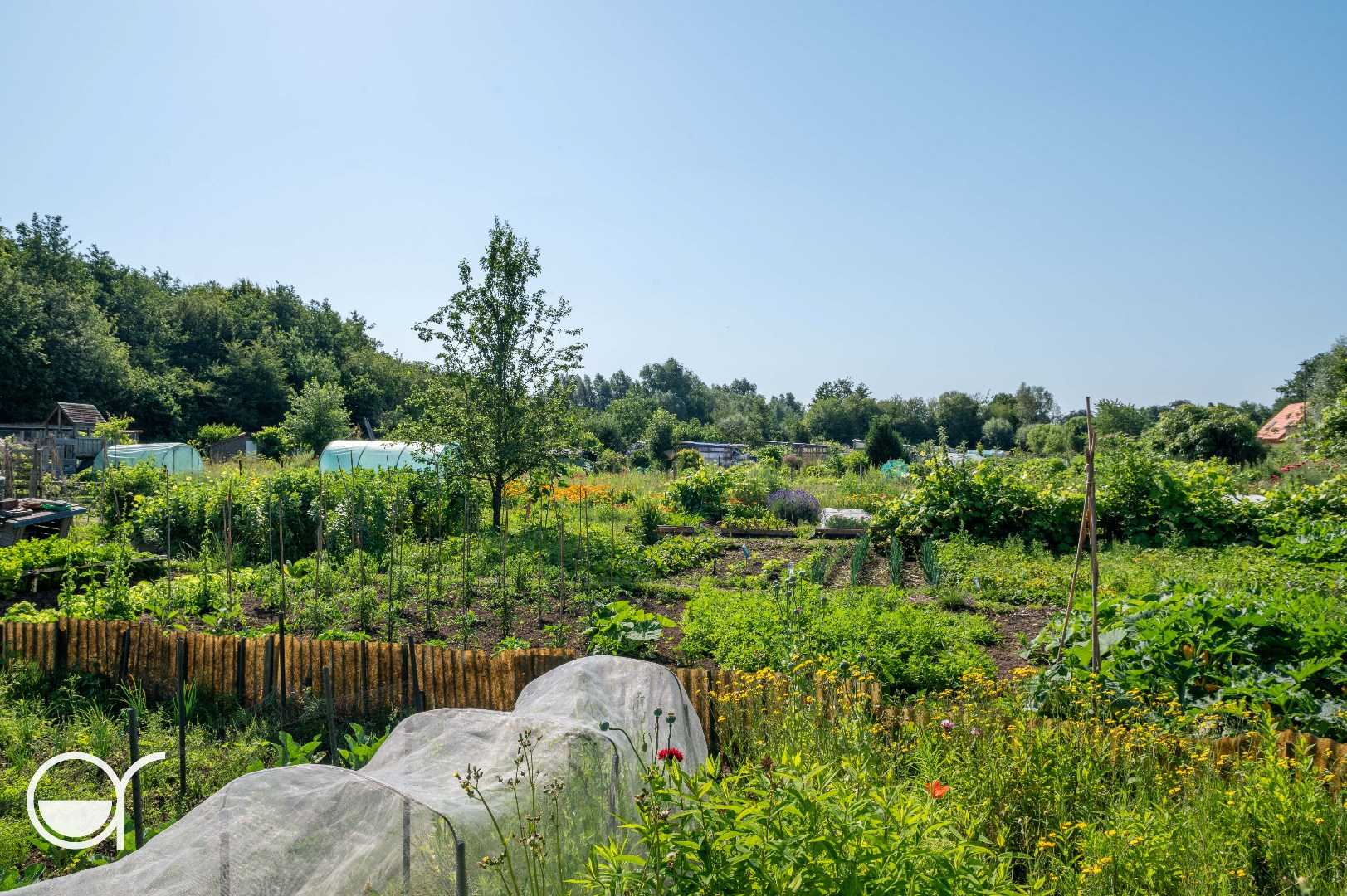 Landbouwgrond met 24 volkstuinen - foto 4