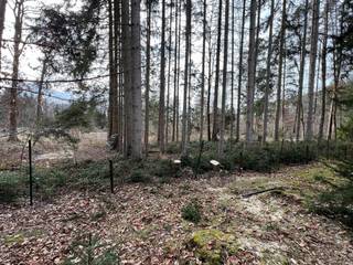 Bouwgrond in een aantrekkelijke recreatiezone nabij Durbuy.De afbeelding met plan van een chalet is slechts een voorbeeld van wat kan gebouwd...
