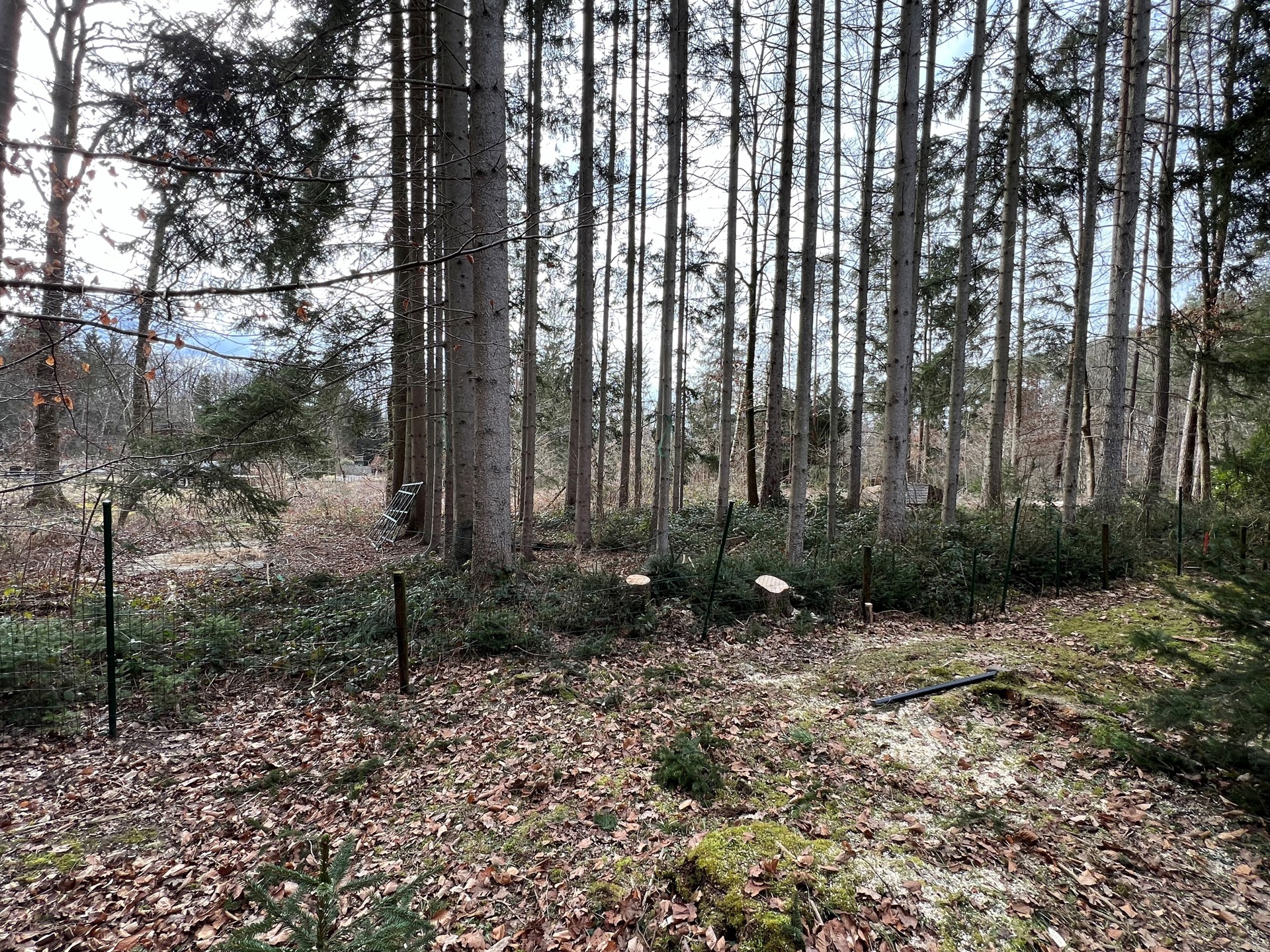 Bouwgrond in recreatieve zone voor niet-permanente bewoning - foto 3