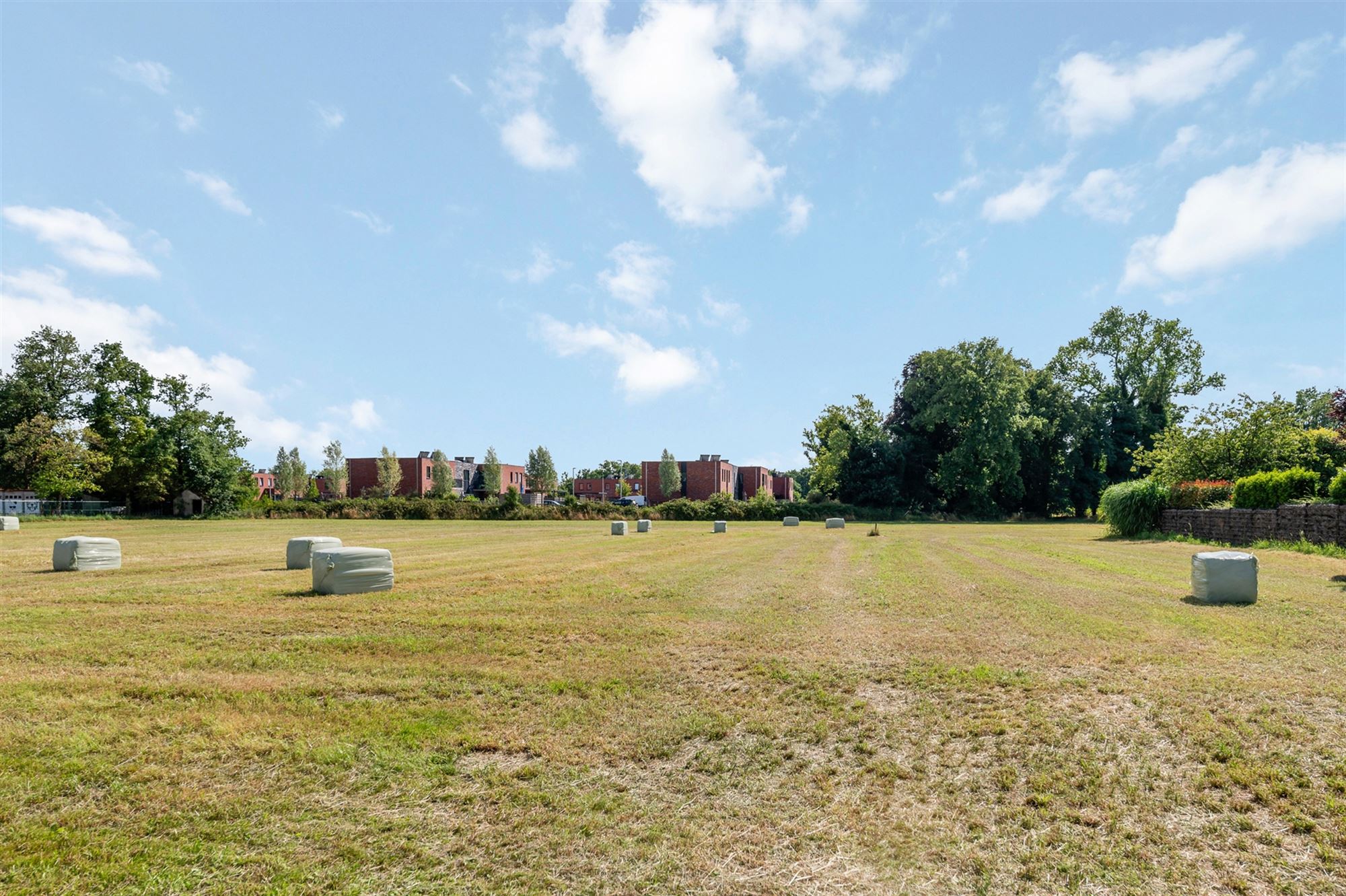 Terrain à vendre à Balen - photo 2