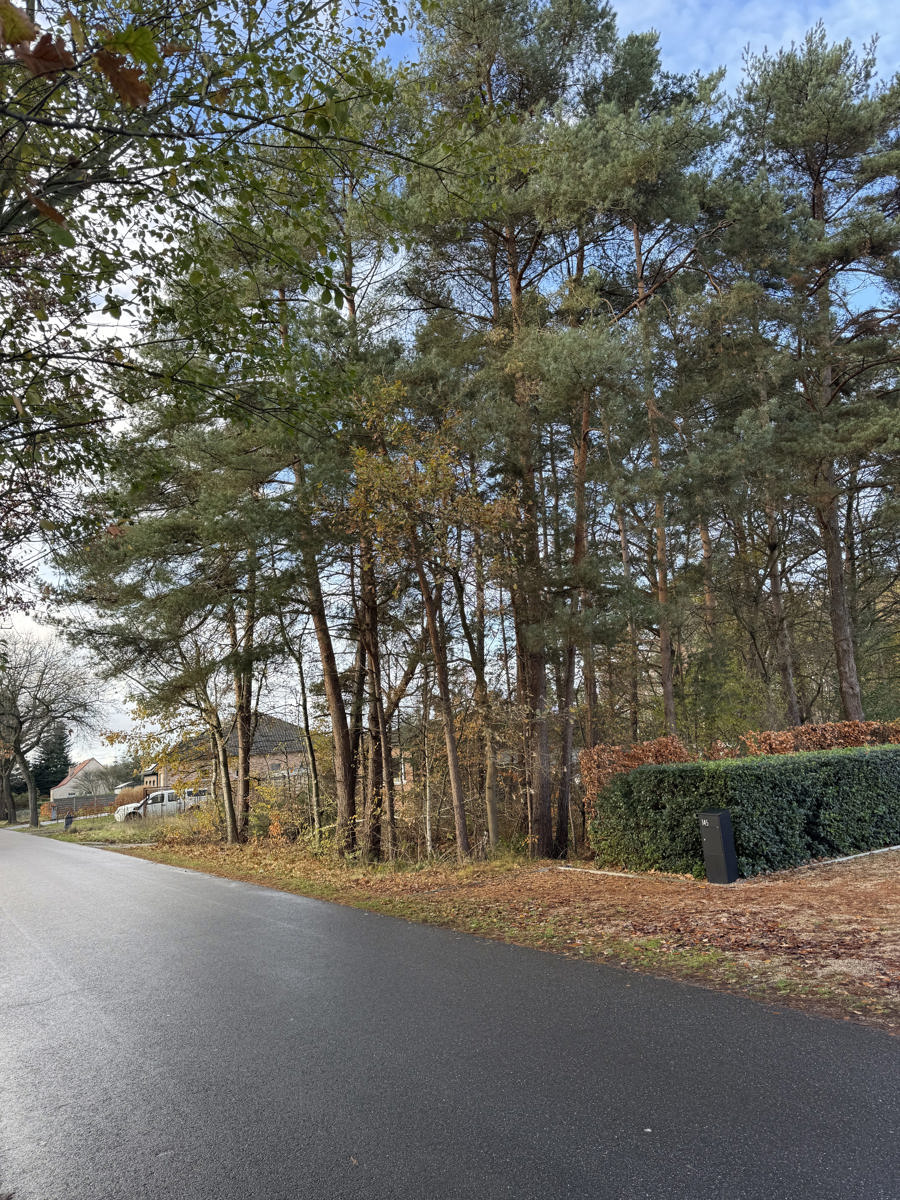 Ruime bouwgrond te koop in Balen-Wezel: ca. 3513 m² op rustige locatie - foto 1