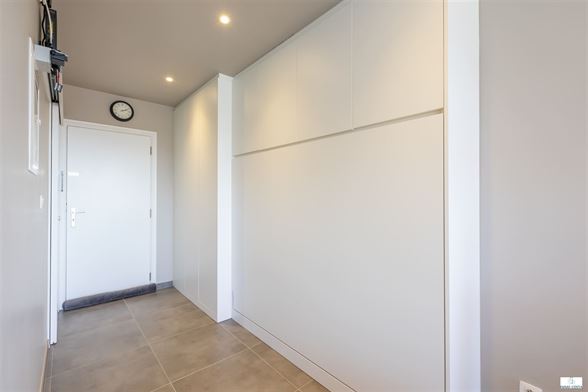 studio - foto 4