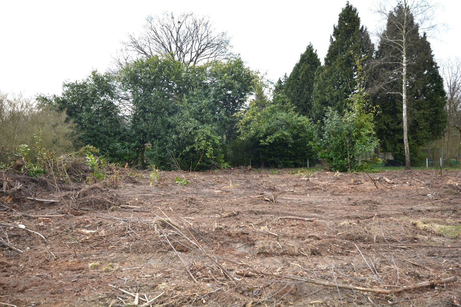 PERCEEL RECREATIEGROND VAN 1.610 m² - foto 5