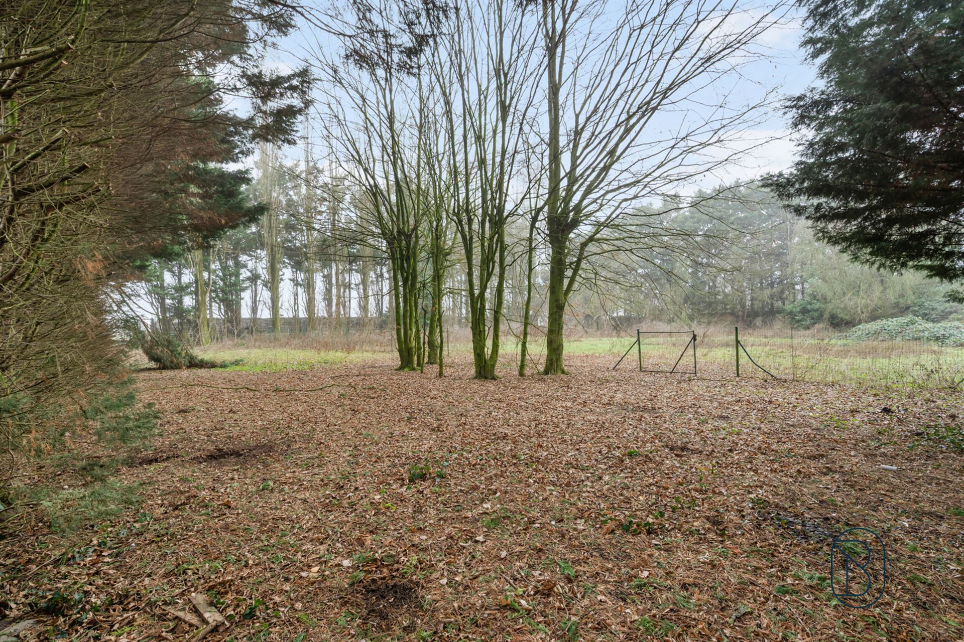 Charmante te renoveren woning, met mooie tuin. - foto 4