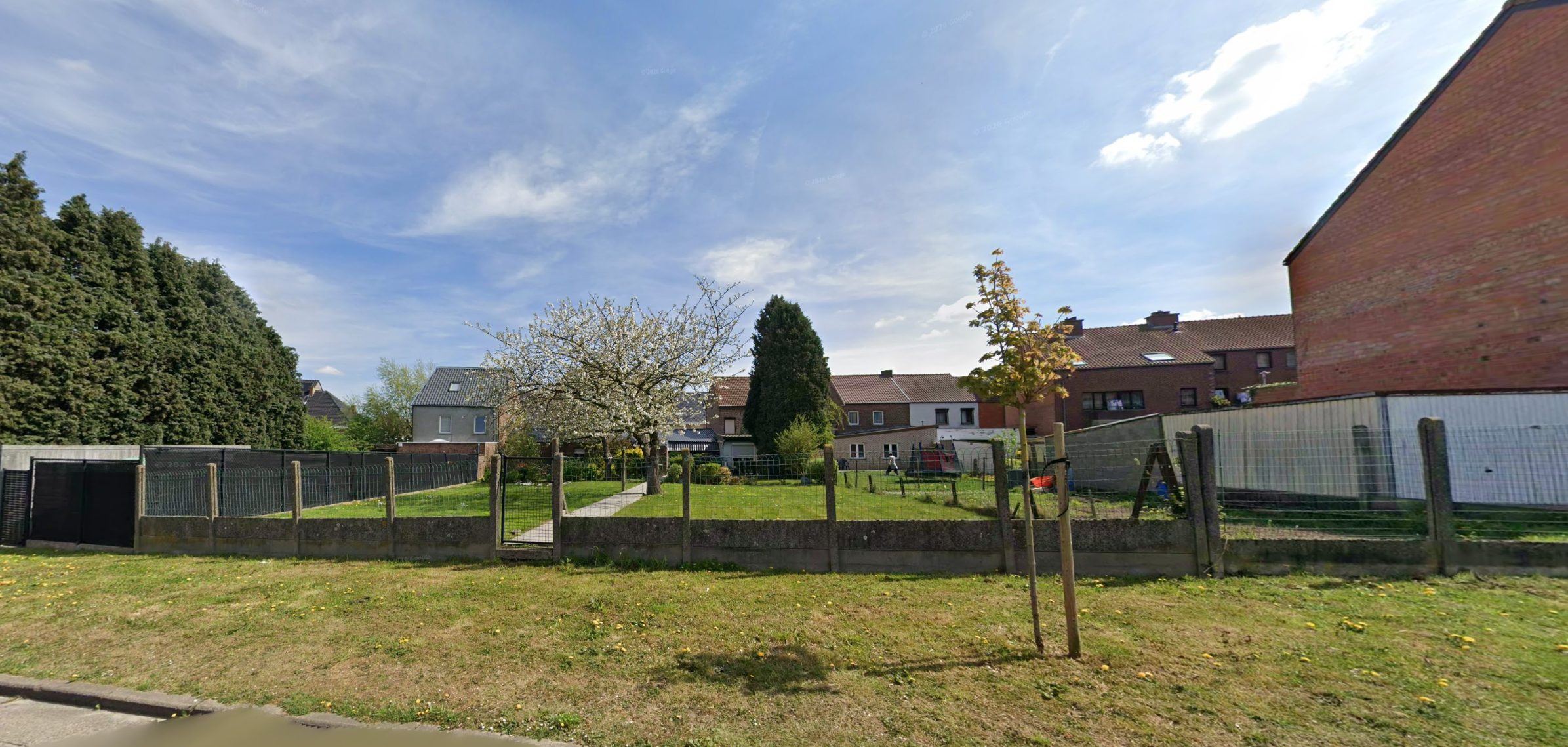 Grond te koop in Borgloon - foto 4