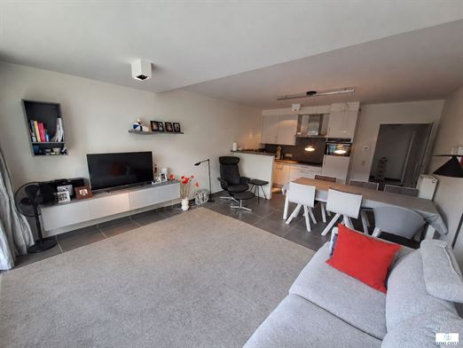 …