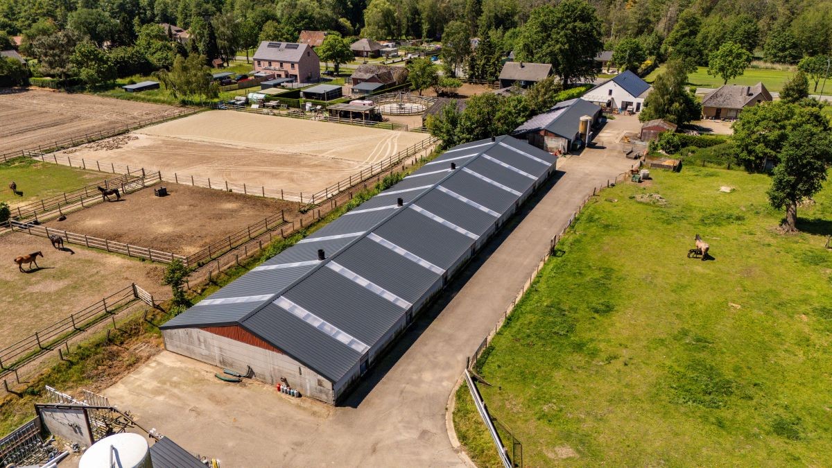 Vleeskalverenbedrijf te koop te Oudsbergen - foto 4