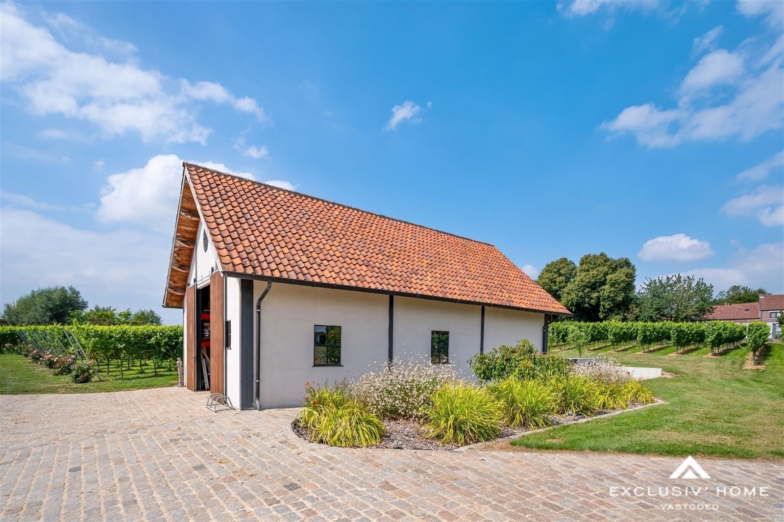 Exclusive Estate with Country Villa & Vineyard - photo 4