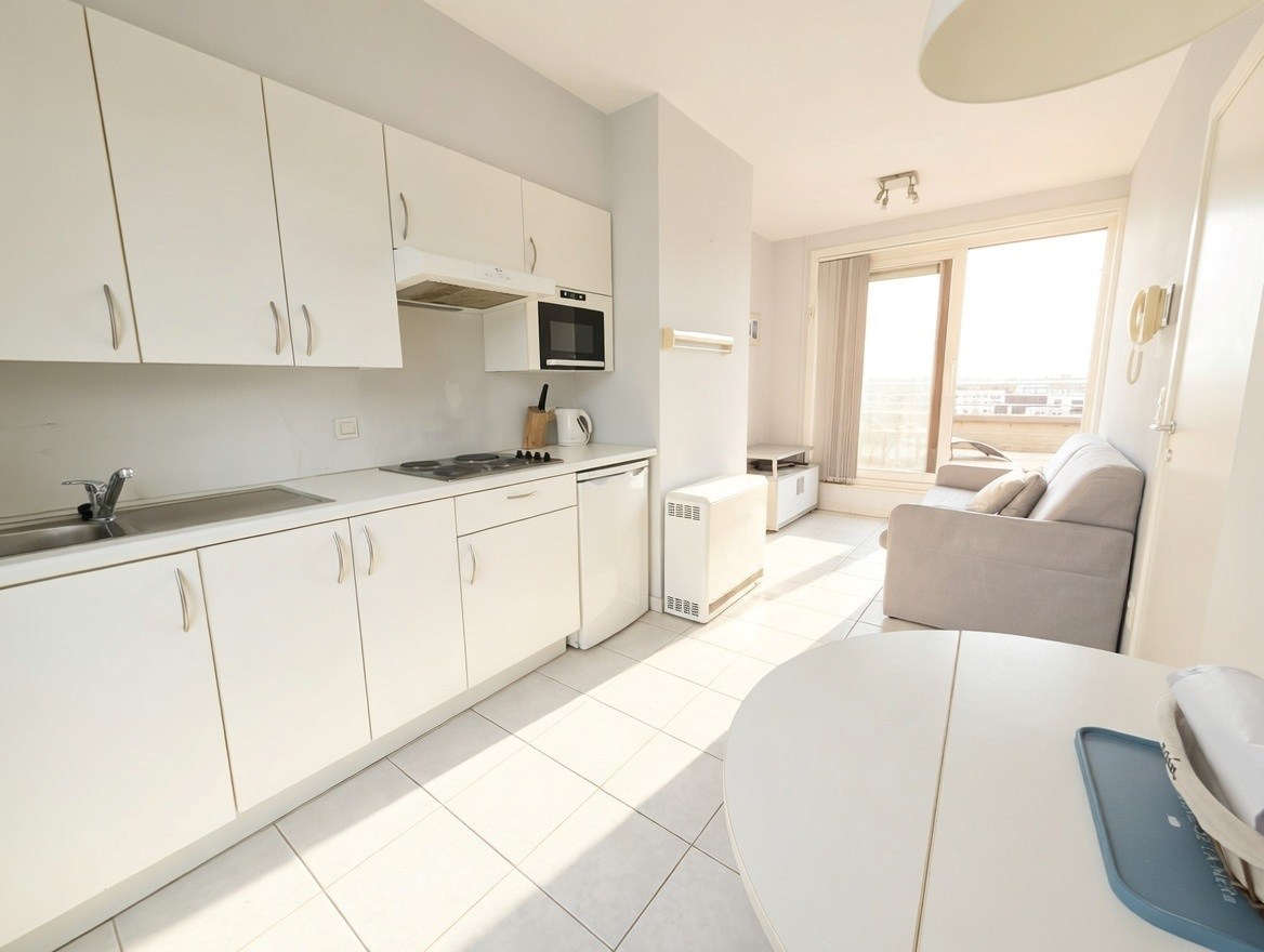 MOOIE PENTHOUSE OP 50 M. VAN DE ZEEDIJK VAN KOKSIJDE - foto 4