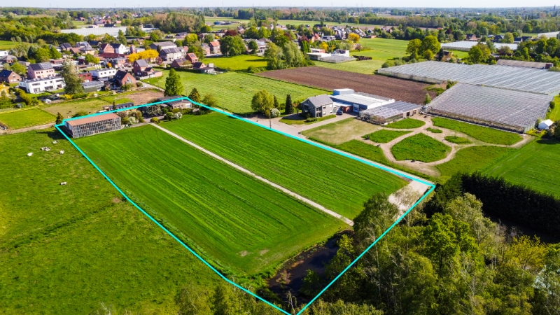 Zéér rustig &amp; centraal gelegen (gewezen tuinbouwbedrijf) landhuis op 1,15 Ha met 4 SLK, garage, loods 250m2 &amp; aanpalend weiland - foto 4