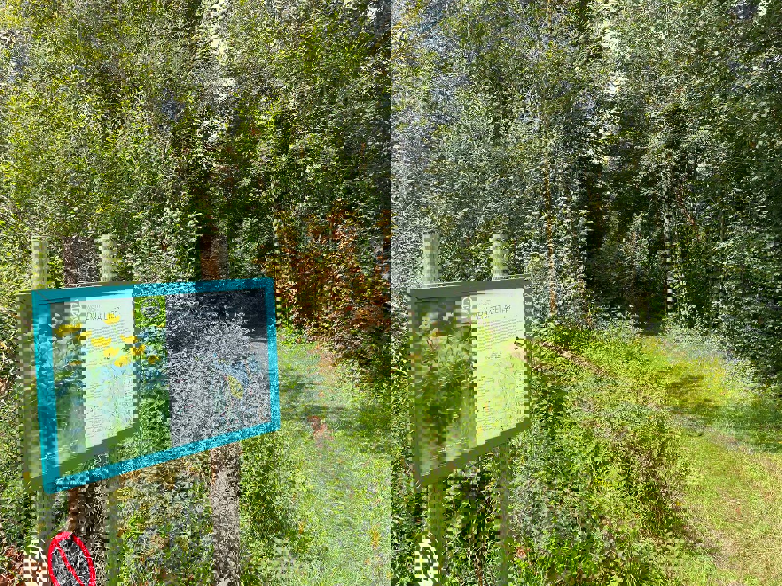 Maison à vendre à Malines avec 4 chambres - photo 5