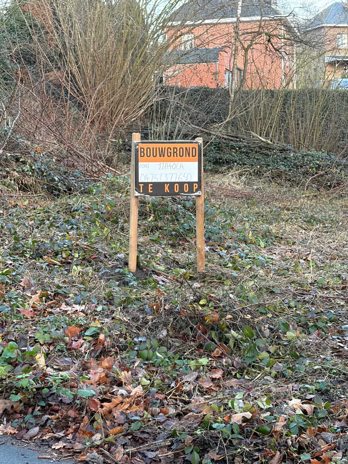 Grond te koop in Dworp - foto 3