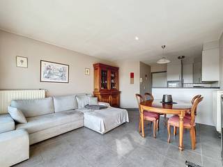 Dit appartement ligt op 50m van zee en is, mits wat schilderwerken, perfect instapklaar. De indeling is als volgt: Inkomhal, woonkamer met volledig ingerichte keuken, slaapkamer (voldoende ruimte dubbelbed en kledingkast), badkamer met douche en lavabo, berging voor wasmachine, WC, én een zalig zonneterras. Individuele kelder inbegrepen. Ref. Casanova 302
