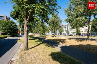 <p><span>Welkom in deze instapklare woning op een toplocatie. De woning is gelegen vlakbij alle dagelijkse voorzieningen. Zo bevindt Dok Noord zich op slechts twee minuten wandelafstand en bereik je het historisch centrum van Gent na amper tien minuten wandelen.</span></p>
<p><span>De indeling is als volgt:</span></p>
<p><span>Je betreedt de woning via de inkomhal, waar voldoende ruimte is voor het opbergen van jassen en schoenen. Vanuit de inkomhal kom je in de ruime woonkamer, die naadloos overgaat in de keuken. Deze bevindt zich nog in perfecte staat. Verder bevindt zich op het gelijkvloers de toegang tot de droge kelder.</span></p>
<p><span>Op de eerste verdieping vind je de badkamer en twee ruime slaapkamers. Vanop deze verdieping heb je eveneens toegang tot het dakterras. Dankzij de zuidelijk gerichte ligging is dit de ideale plek om van het mooie weer te genieten in hartje Gent.</span></p>
<p><span>Op de tweede verdieping bevinden zich nog twee bijkomende slaapkamers.</span></p>
<p>Verder beschikt de woning over 14 zonnepanelen op het dak, waardoor ze volledig zelfvoorzienend is op het vlak van elektriciteit.</p>
<p><span>Kortom, een ideale woning voor wie graag in de buurt van het historisch centrum van Gent woont.</span></p>
<p>Beschikbaar na huuropzeg.</p>
<p>Contacteer Top Vastgoed voor een bezoek op 0475 700 700.</p>