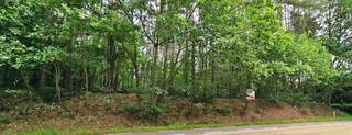 <strong>Unieke project-/bouwgrond op een toplocatie, grenzend aan natuurgebied.</strong><br /><br />Perceel: <strong>20 a 32 ca</strong><br />Perceelbreedte: <strong>32 m</strong><br /><br />Deze uitstekend gelegen project-/bouwgrond biedt een uitzonderlijke opportuniteit voor de ontwikkeling van twee halfopen bebouwingen (onder voorbehoud van de nodige vergunningen en bespreking met gemeentelijke diensten) of een ééngezinswoning.<br /><br />Dankzij de prachtige ligging langs een natuurgebied genieten toekomstige bewoners van rust, groen en privacy, terwijl een vlotte bereikbaarheid verzekerd is.<br /><br />Zowel de op-en afritten van de E313/E314 bevinden zich op minder dan 3 minuten rijden.<br />Op 2 minuten rijden kom je in het centrum van Lummen met zijn winkels, supermarkten, kleuter- lagere en middelbare school, kinderopvang, het bussenknooppunt en alle sportaccomodaties.<br /><br />De combinatie van een aantrekkelijke woonomgeving, een strategische ligging en het ontwikkelingspotentieel maakt van deze grond een interessante investering voor een kwalitatief nieuwbouwproject.<br /><br />Grijp deze zeldzame kans om hier een woonproject te realiseren.<br /><br /><strong>Bel Tom voor meer info op het nummer 0468/09 81 97.</strong><br />