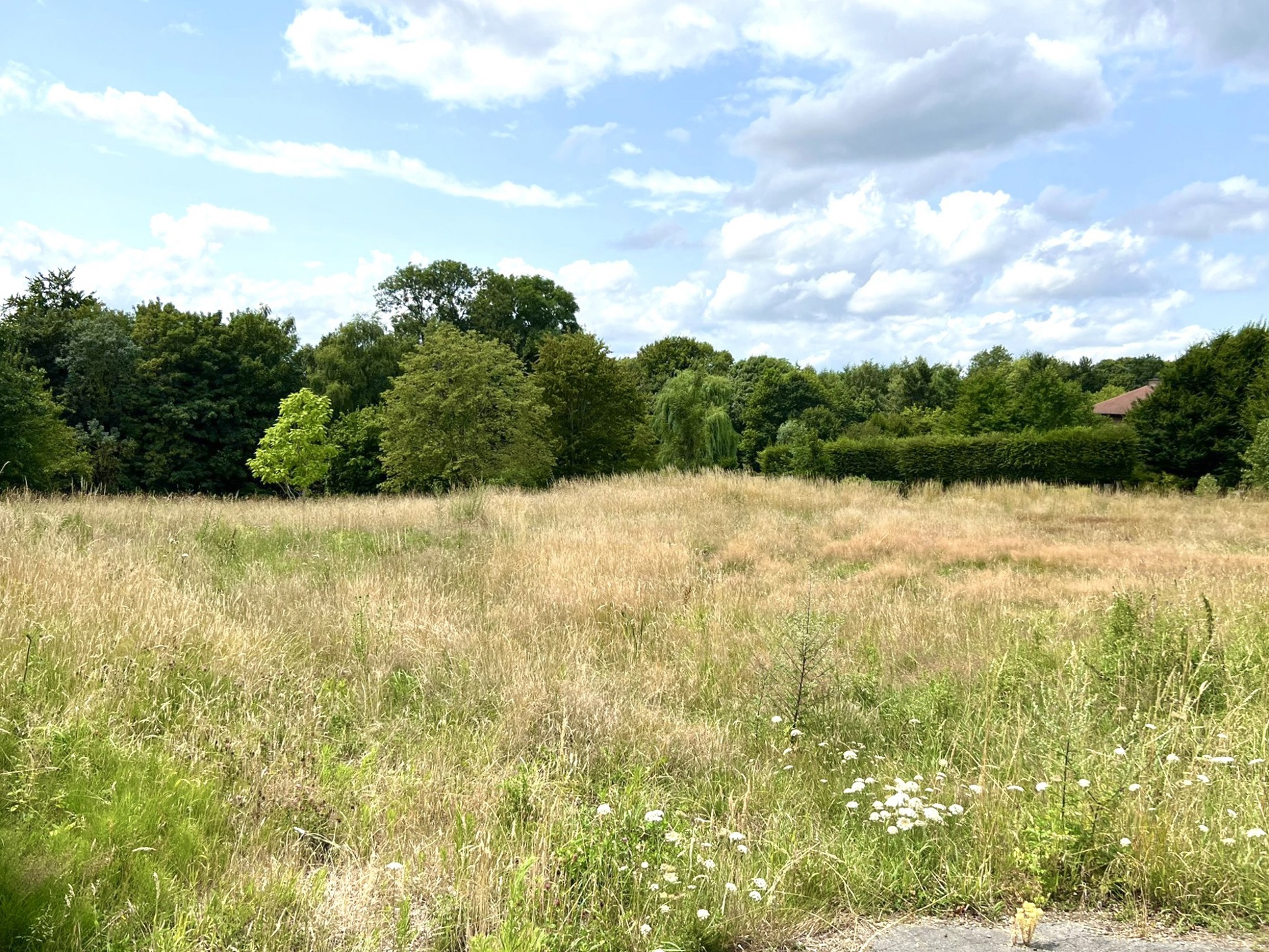 UNIEK en prachtig gelegen BOUWGROND voor villa. - foto 1