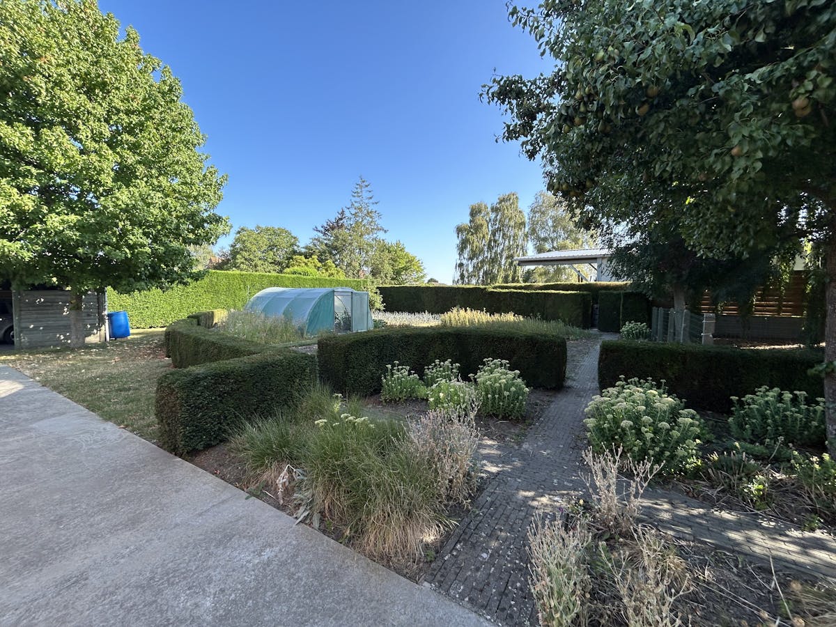 Bouwgrond van 554 m² met uitweg, garage en carport - foto 3