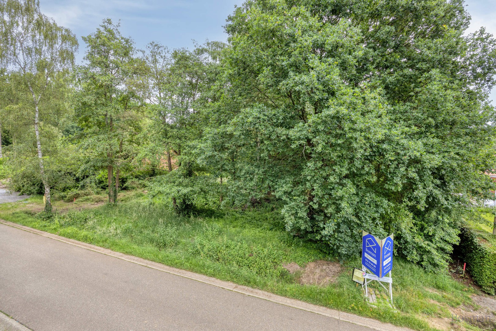 Bouwgrond op 16a 76ca te koop in Tessenderlo-Ham - foto 4