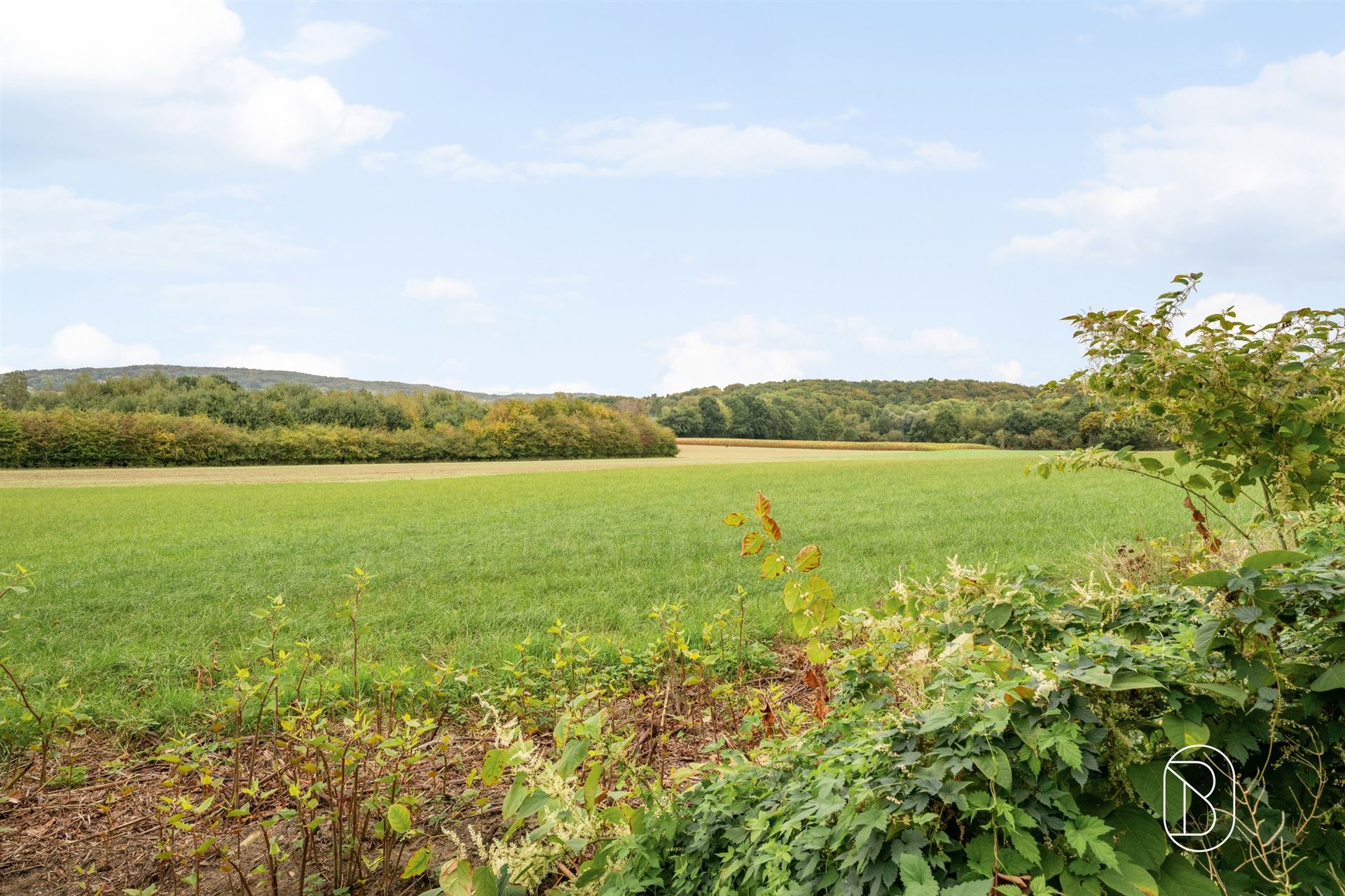 Goedgelegen bouwgrond (3.453m2) voor alleenstaande villa te Ronse - foto 4